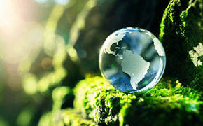 governance-structure-290x180